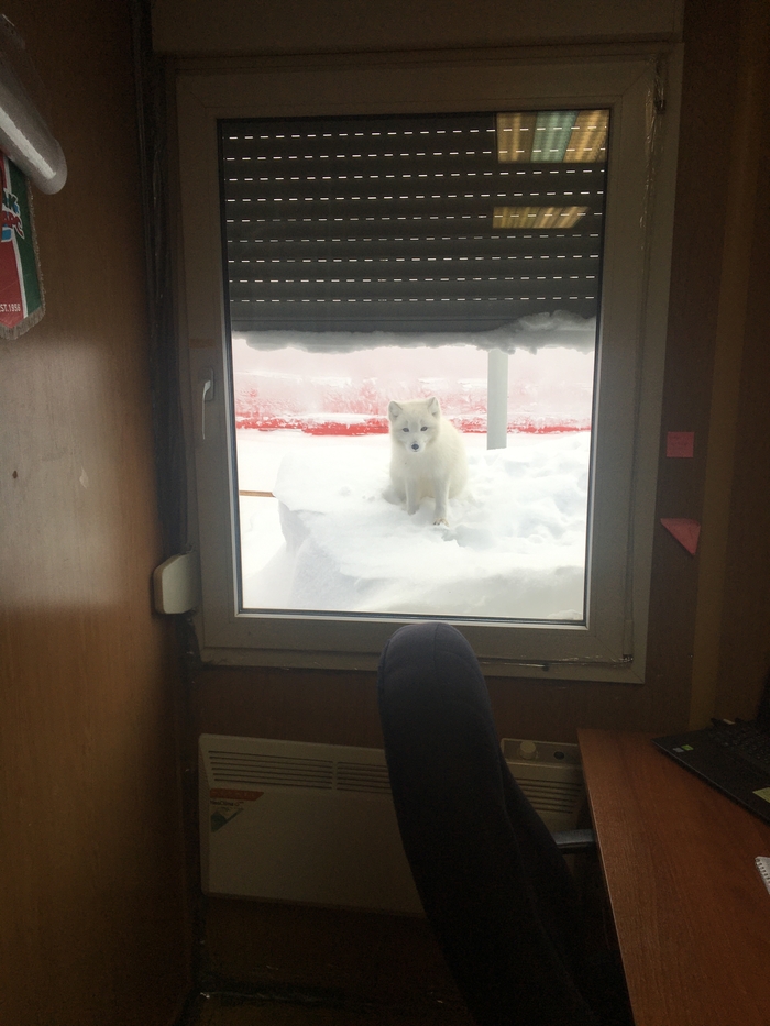 �������� �����