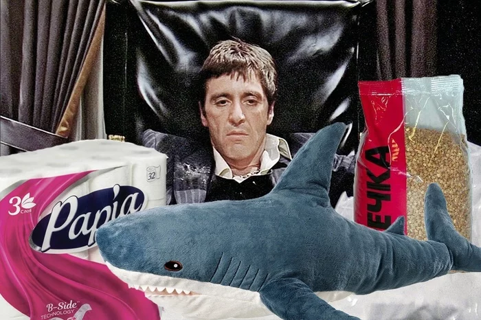 A successful person in 2022 - Humor, The photo, Shark, Scarface (film), , Blohey