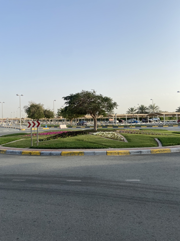 Эрзя в Абу -Даби