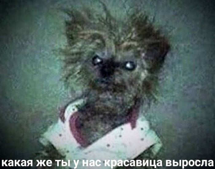 ����������� ��������� �����