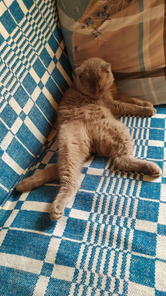 �� ������� ���� - �� ����������