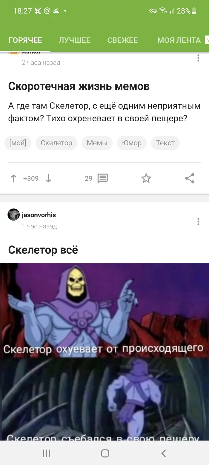 100% Match - Skeletor, Coincidence, Memes, Longpost, Matching posts, 