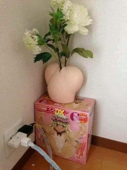 Nice vase - NSFW, Vase, Flowers, Humor, 