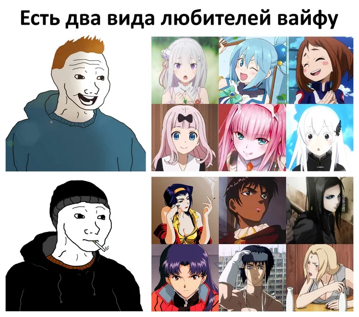 Two types - Anime, Memes, Re: Zero Kara, Konosuba, Boku no hero academia, Kaguya-Sama wa Kokurasetai, Darling in the Franxx, Cowboy bebop, Berserker, Ergo Proxy, Evangelion, Ghost in armor, Naruto, Picture with text, 