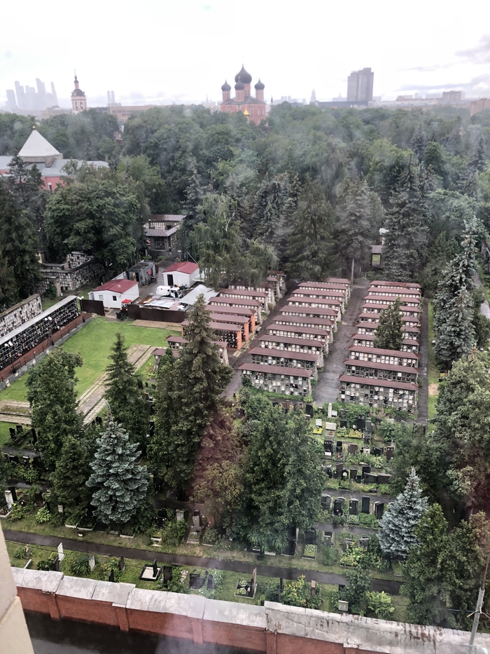 Тихие соседи