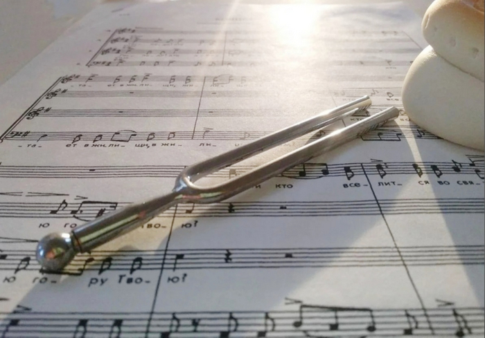 НАСТРАИВАЕМСЯ НА БОРЬБУ С БОРЩЕВИКОМ СОСНОВСКОГО