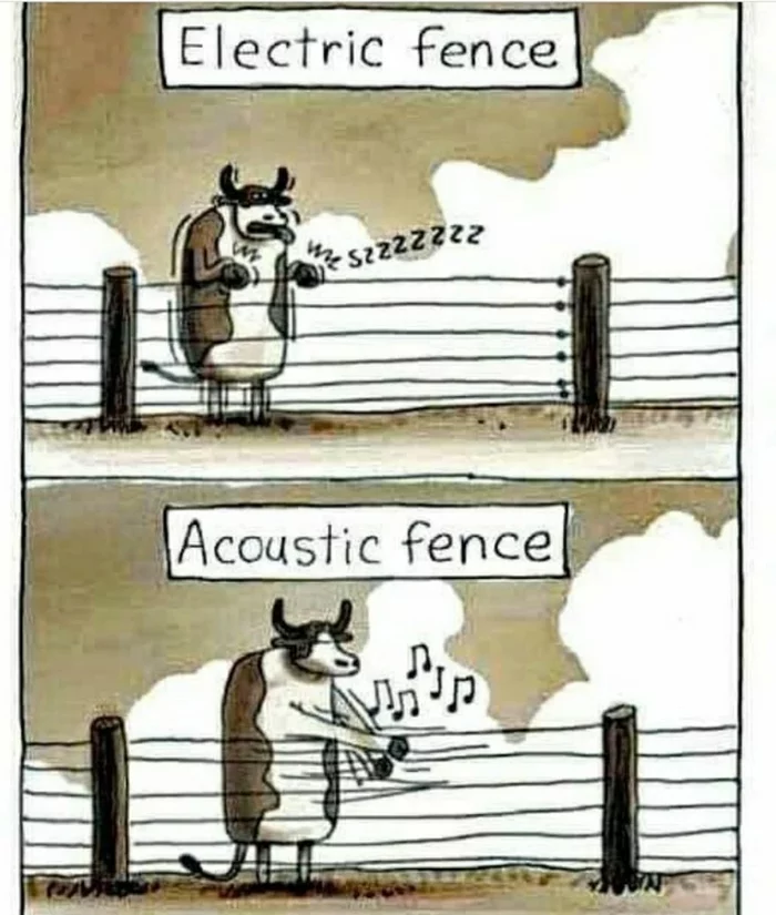 A big difference - Acoustic guitar, Music, Solfeggio, Guitar, Fence, Cow, Memes, Joke, Humor, , Electric guitar