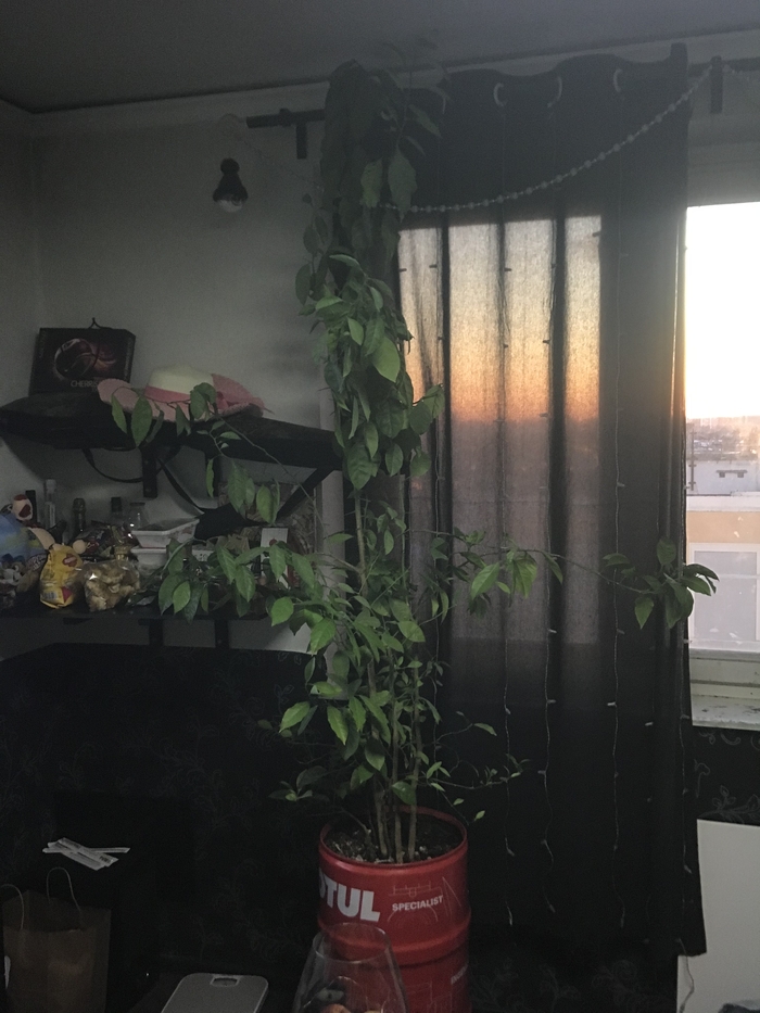 ��������� ��������...