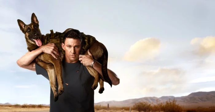 I advise you to watch Lulu and Briggs / Dog (2022) - Comedy, Drama, Dog, Adventures, Movies, I advise you to look, Channing Tatum, What to see, 