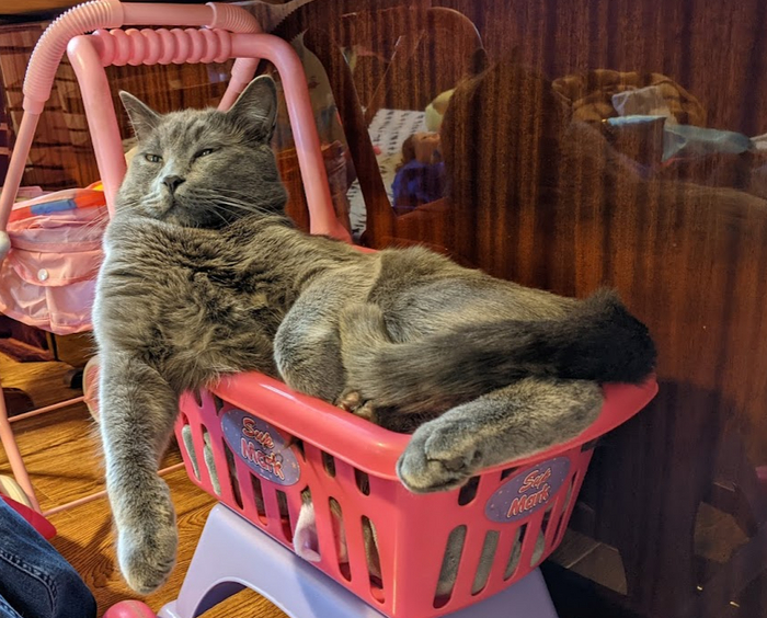 И пусть весь мир подождёт...