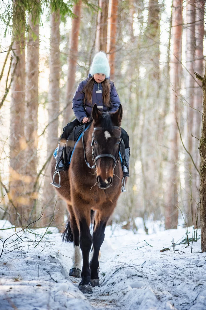Horseback riding )) - My, Winter, The photo, Horses, Children, Walk in the woods, PHOTOSESSION, Longpost, 
