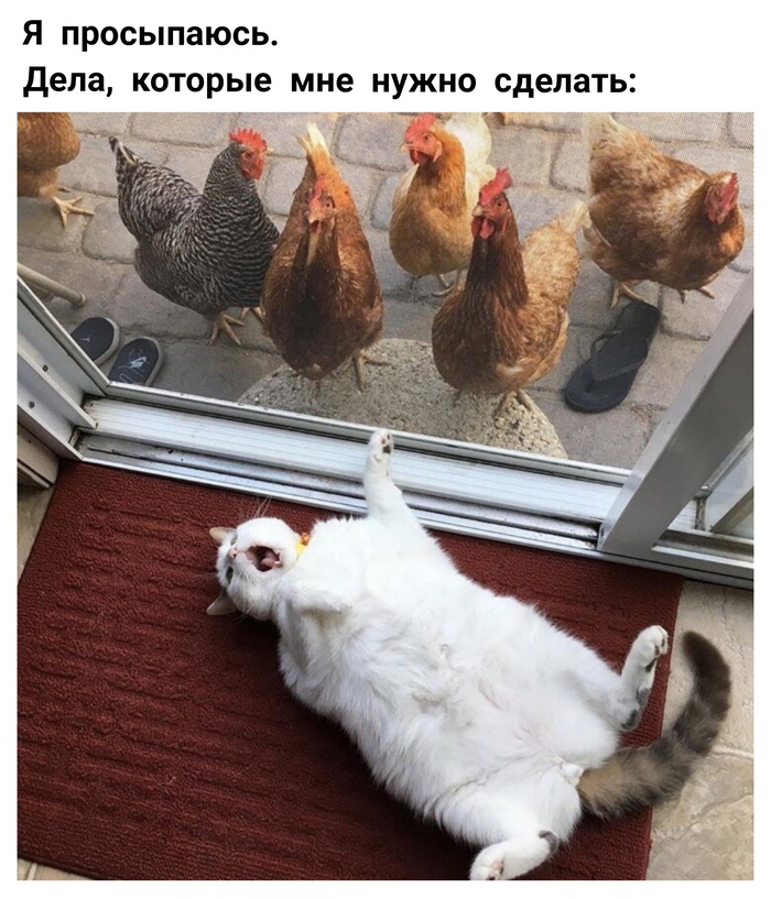 Дела...