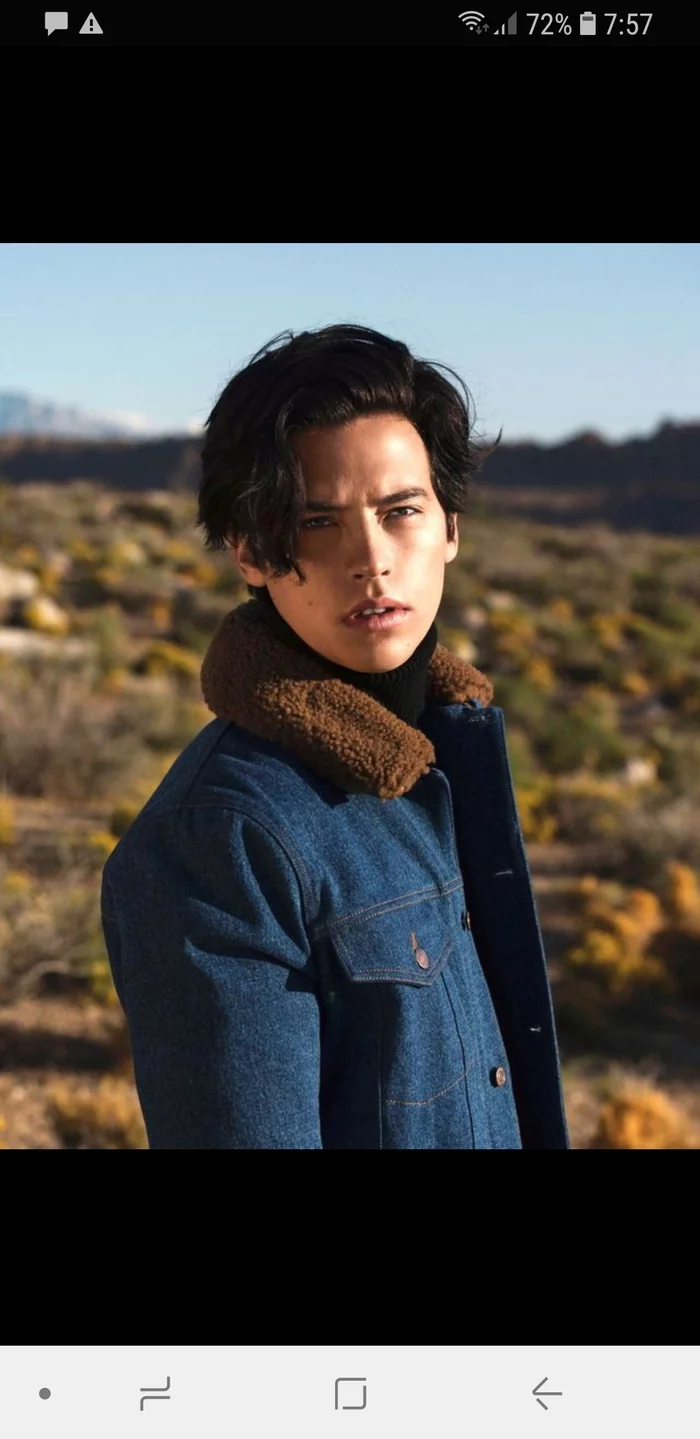 Prince of riverdale Serpents - My, Image, Men, Software, Prince, Snake, Netflix, Almanac, League, Style, Cole Sprouse, Jughead Jones, Riot, Longpost, 