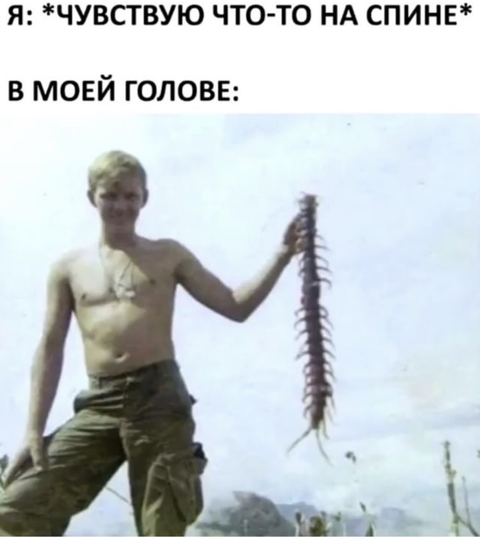    , , , , 
