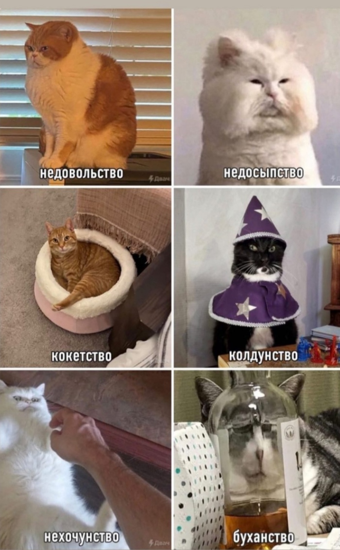 Набор состояний на эту неделю