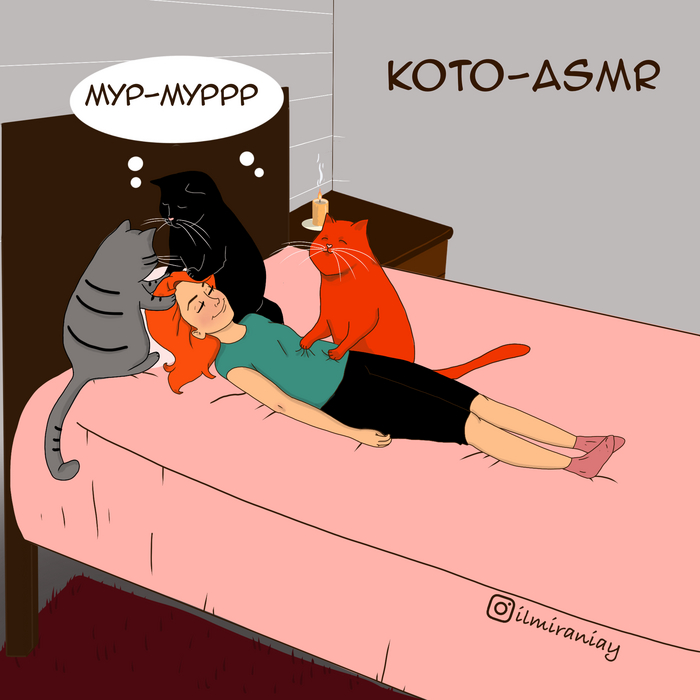 Кото-АSMR