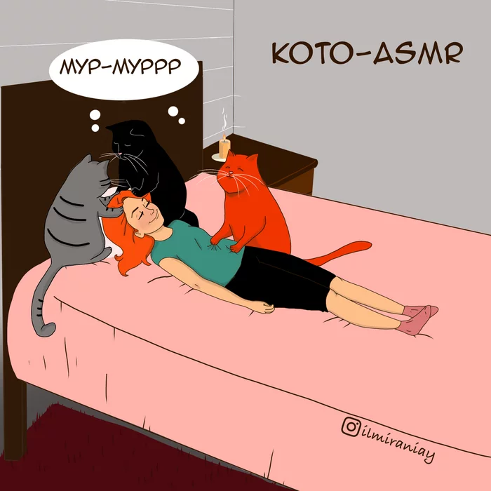 Koto-ASMR - My, cat, ASMR, Comics, Comicsbook, Web comic, Author's comic, Procreate, Vital, 