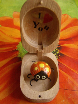 Beetle in a box I love you - My, Presents, Decor, Whatnot, Жуки, Love, Happiness, 