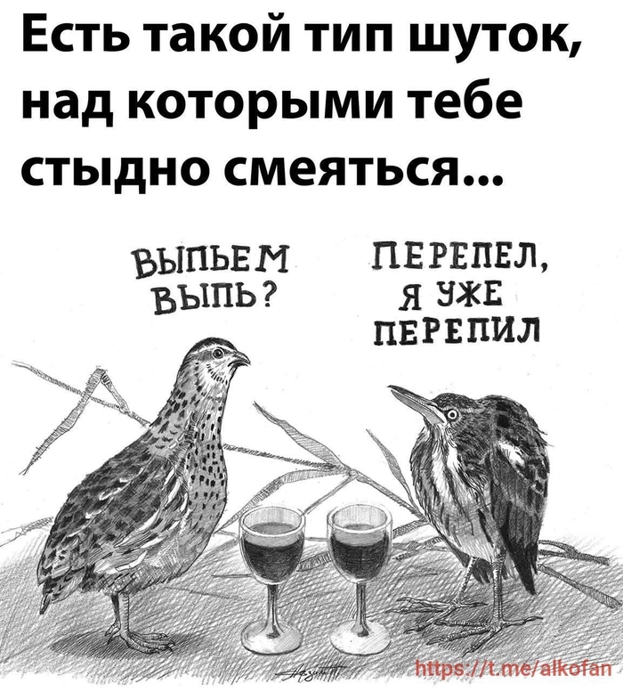 Клуб знакомств с алкоголем