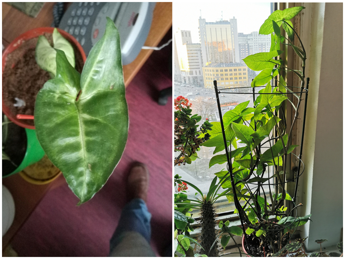 ��� ����, �� ��� ���������