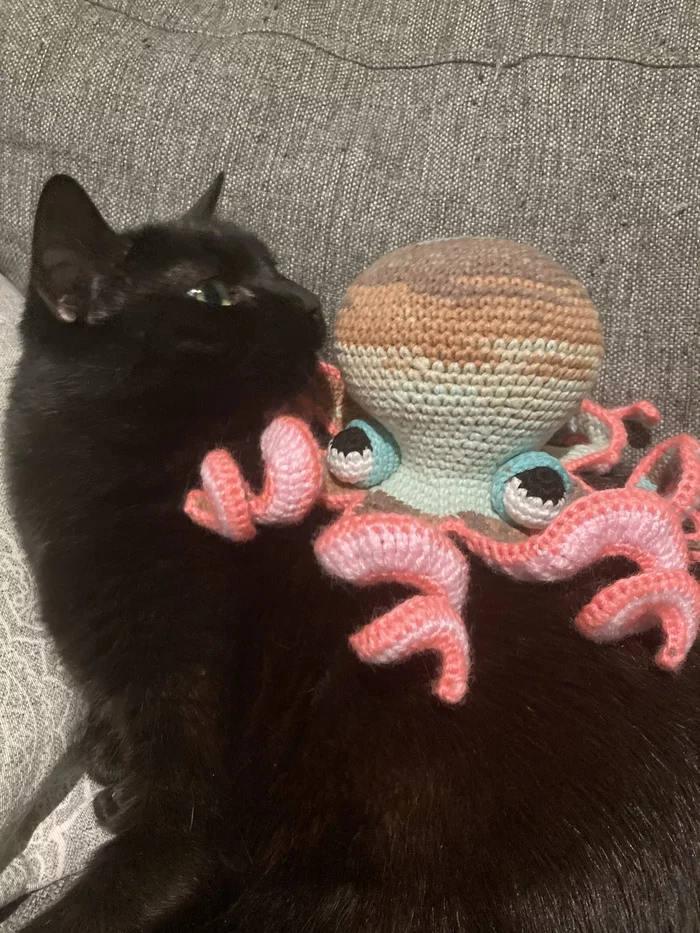 Cute Octopus Fast - My, Gift exchange, Gratitude, Octopus, , Black cat