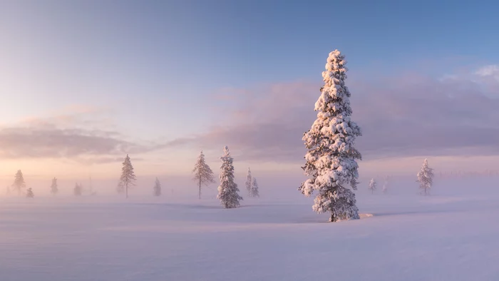 Russian Lapland - My, The photo, Landscape, beauty of nature, The nature of Russia, Snow, Winter, North, Murmansk region, Kola Peninsula