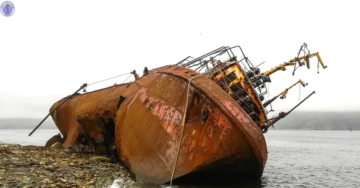 Сезар арктика остров большевик фото