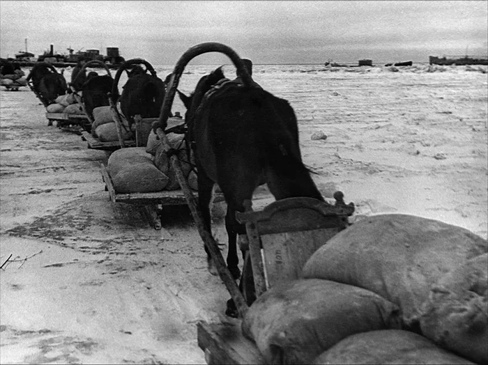 First wagon train - My, Author's story, Leningrad blockade, Longpost