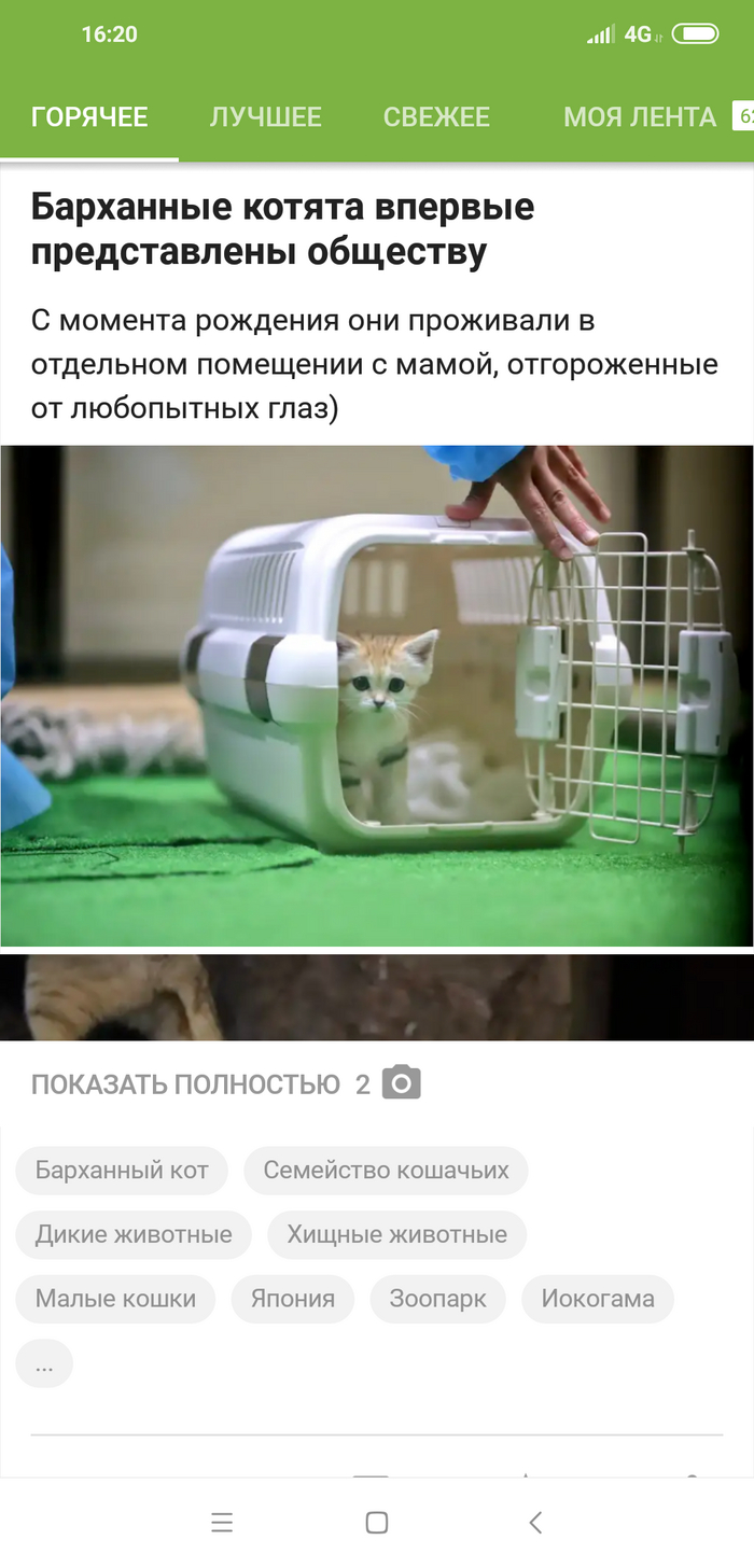 ������� ��� ���