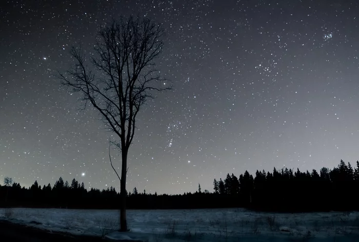 Son of Poseidon and the nymph Euryalus - My, Night, Orion, Sky, Stars, Astrophoto