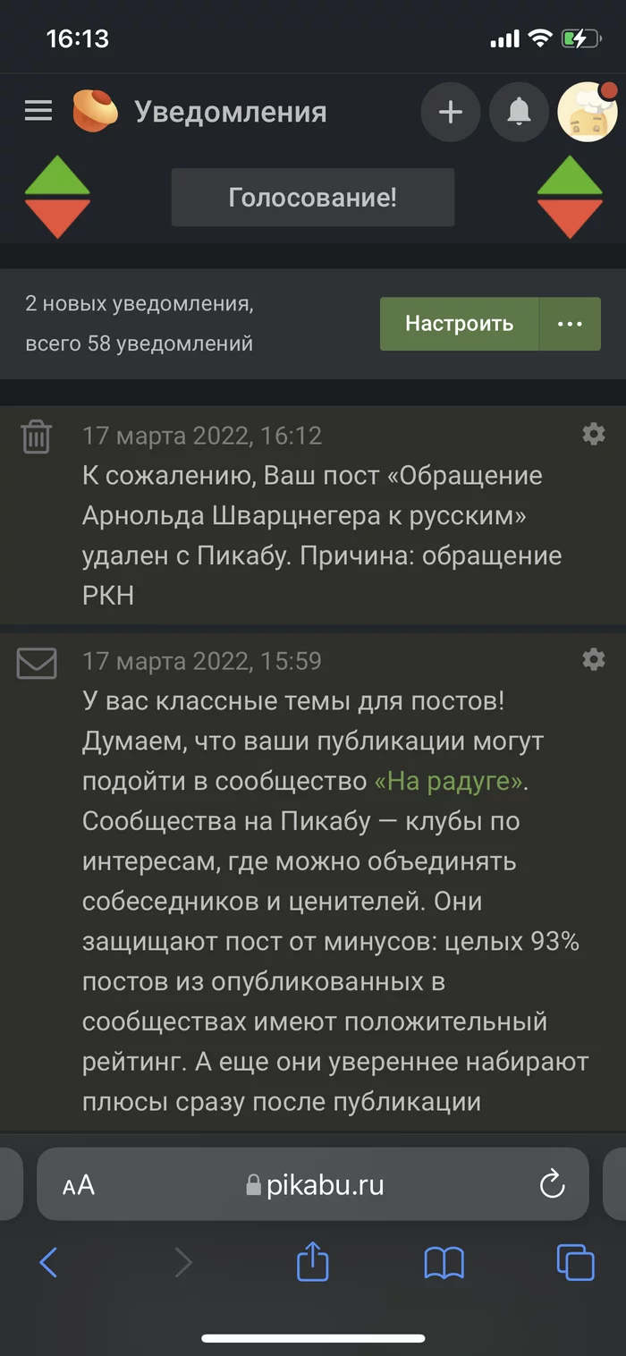 Как вообще так можно жить, в такой цензуре? - Цензура в интернете, Политика, Длиннопост