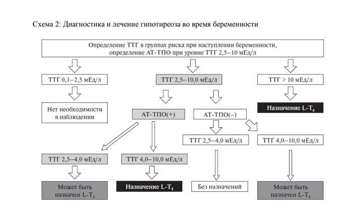 In response to all posts about finding Euthyrox/L-thyroxine - My, I am looking for medicines, No rating, Longpost, Eutirox, L-Thyroxine, Medications, Thyroid, Levothyroxine, Reply to post