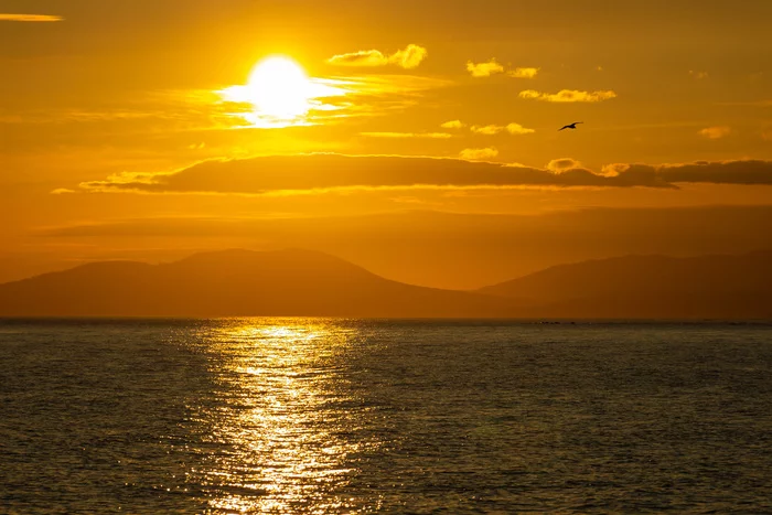 Sunset in Vostok Bay, Primorsky Krai - My, Primorsky Krai, Дальний Восток, Japanese Sea, Sunset, Seagulls, , The photo