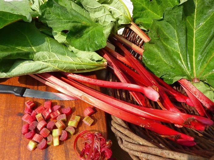 Where to find rhubarb? - Cooking, Rhubarb, Pie, Search, 