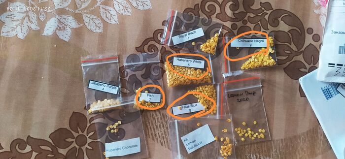 Ищу человека из ДНР, Макеевка