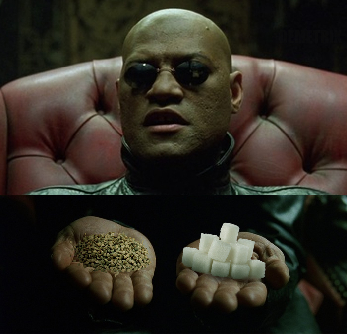 Make the right choice - My, Humor, Sugar, Buckwheat, Deficit, Matrix, Morpheus, Memes, 