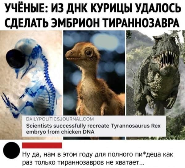 What's up with 2023? - Humor, Picture with text, Vital, 2022, Sad humor, Subtle humor, Dinosaurs, Embryo, Tyrannosaurus, Hen, Repeat, , Mat