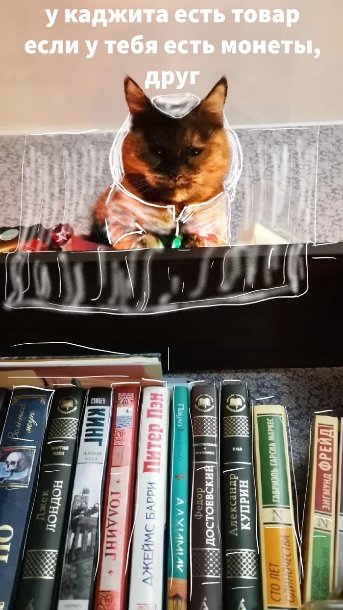 Homemade Kajit - My, Khajiit, cat, The Elder Scrolls V: Skyrim, Books, Bookshelf, 