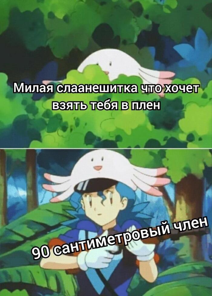 Слаанешитка