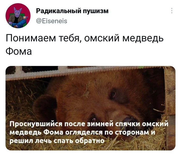 Все мы немного Фома - Скриншот, Twitter, Юмор, Медведи, Фома, 