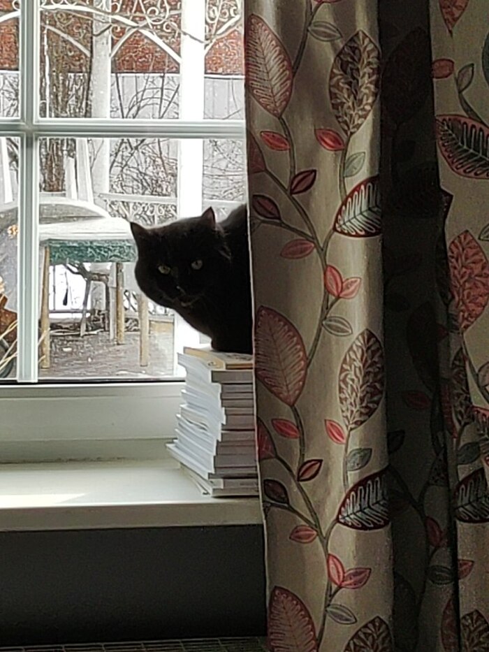 А пылесос уже ушёл?...