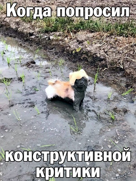  ,   , 