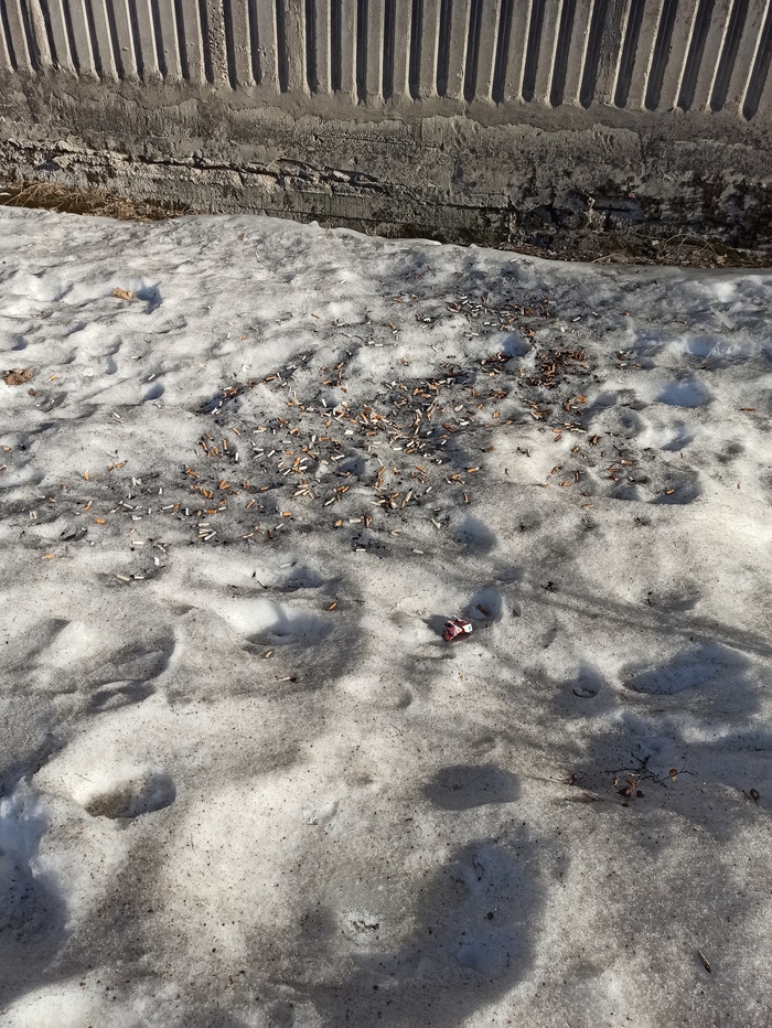 ����� ������