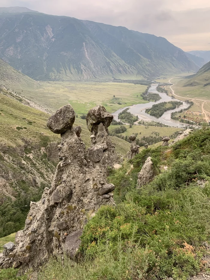 Stone mushrooms and a view of the valley of the Chulyshman River - My, Chulyshman, Mobile photography, Altai Republic, 