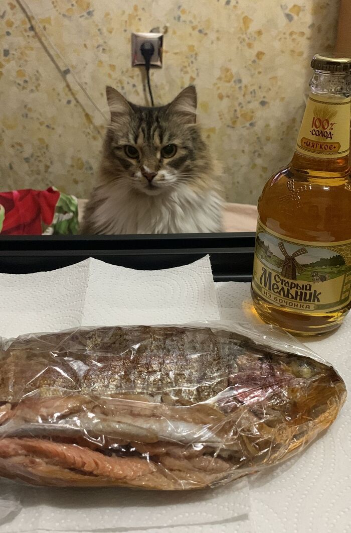 Кошик жирошик желает всем хороших выходных!