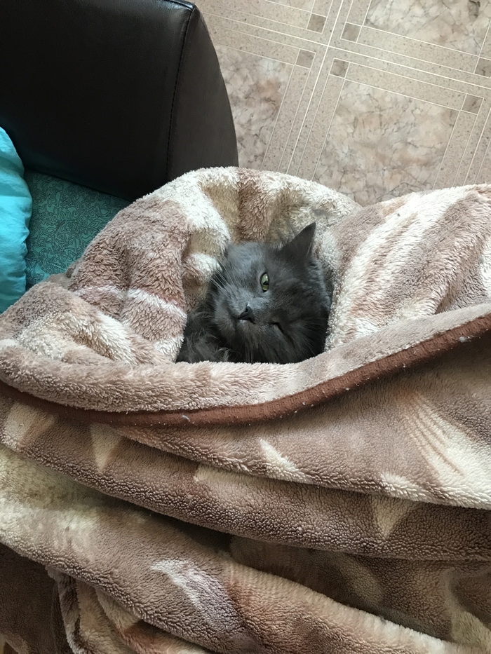 �������, �� ������� ����������?