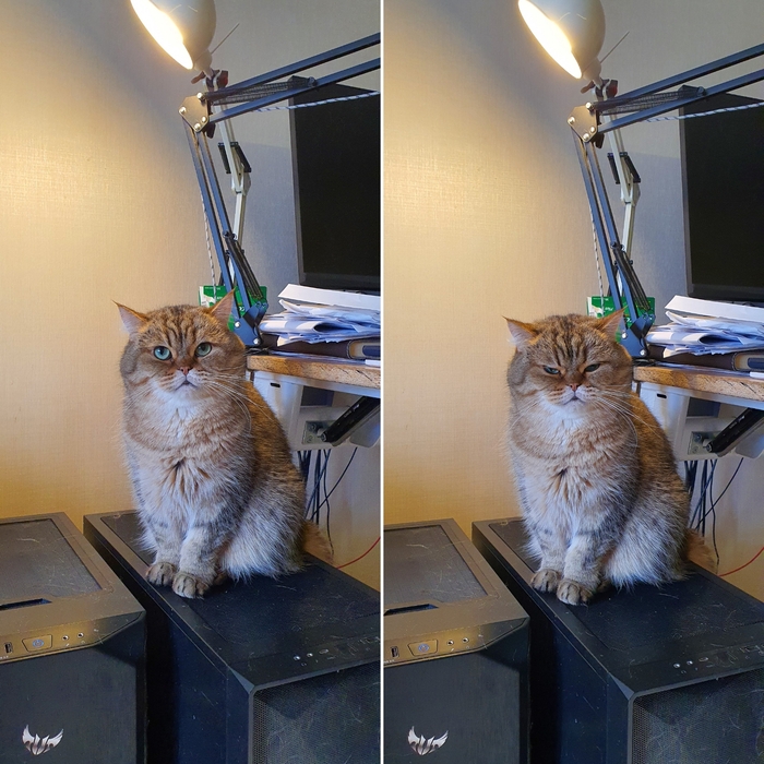 ������ ������ - ������