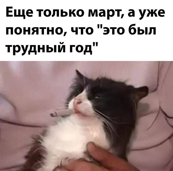 ������� ���