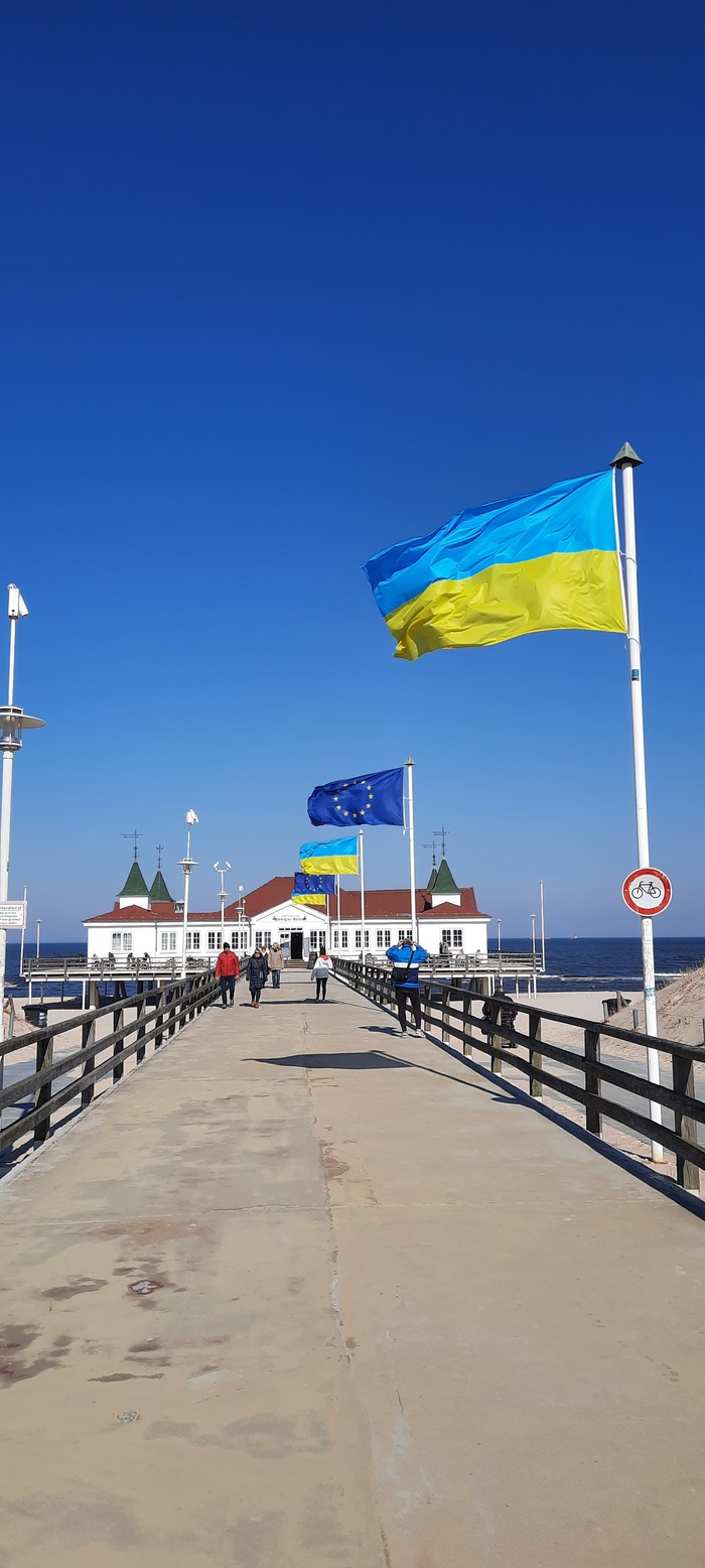 ����� (��������) �������