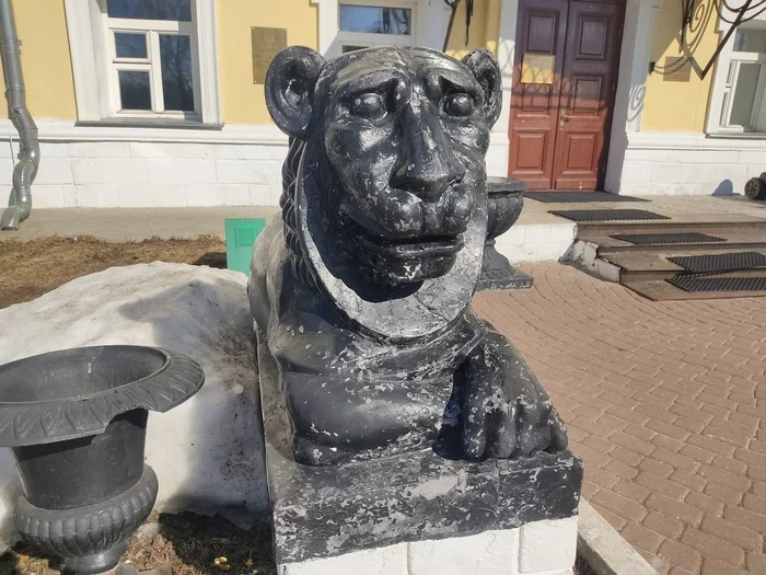 Lion. Vyksa 2022 - My, a lion, Vyksa, Nizhny Novgorod Region, 